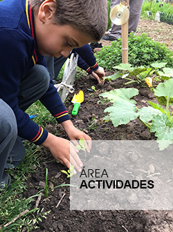sección área actividades