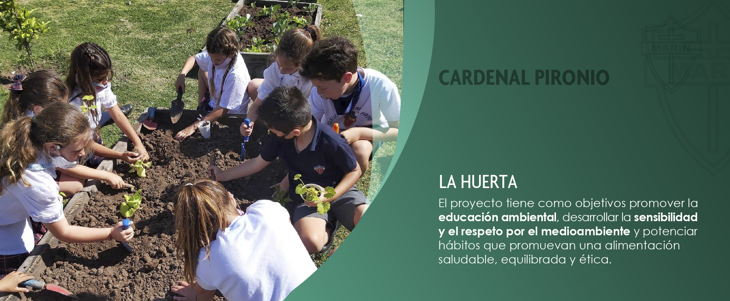 Actividades para pagina-16